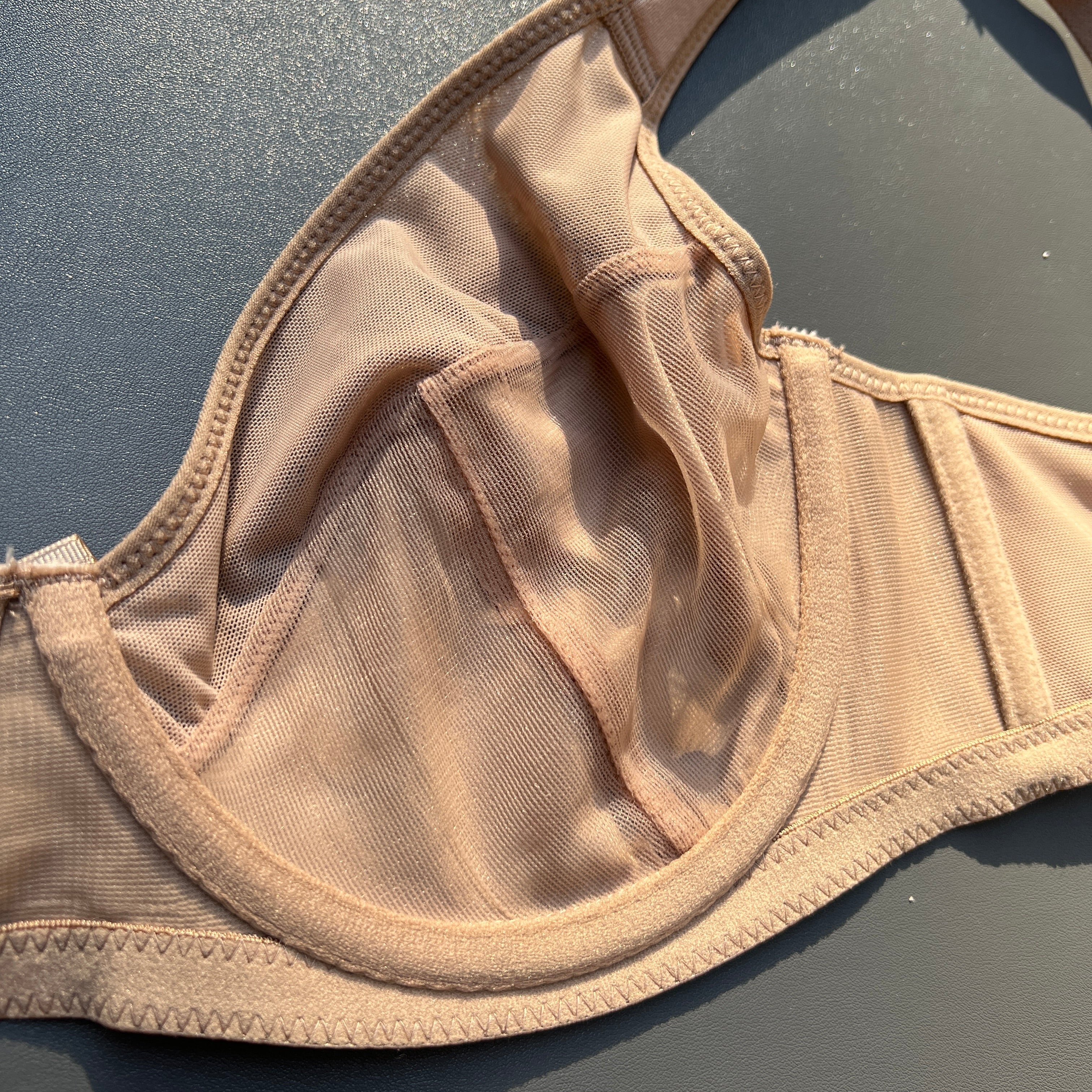 Losha Curvy Double Layer Minimizer Underwire Bra with Lace Detail – Beige