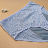 PACK OF 2 LOSHA SUPER SOFT COTTON HIGH-WAIST PERIOD BRIEFS - ASSORTED